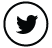 twitter icon with outline