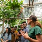 Students in the UC Davis Botanical Conservancy
