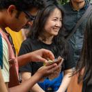 Students in the UC Davis Botanical Conservancy