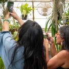 Students in the UC Davis Botanical Conservancy