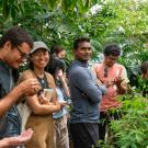 Students in the UC Davis Botanical Conservancy