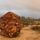 Beatriz Cortez, Glacial Erratic at Lux Art Institute 